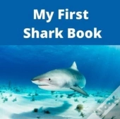 My First Shark Book