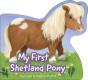 My First Shetland Pony - Preview