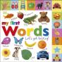 My First Words Let'S Get Talking - Preview