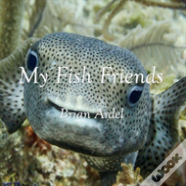 My Fish Friends
