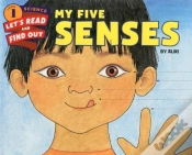 Capa do artigo My Five Senses