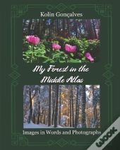 My Forest In The Middle Atlas