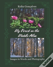 Capa do artigo My Forest In The Middle Atlas