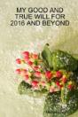 My Good And True Will For 2016 And Beyond - Preview