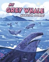 My Grey Whale Migration Journey