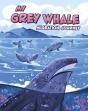 My Grey Whale Migration Journey - Preview