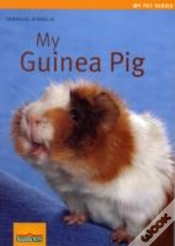 Capa do artigo My Guinea Pig