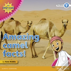 Capa do artigo My Gulf World And Me Level 3 Non-Fiction Reader: Amazing Camel Facts!
