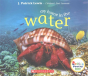 My Home In The Water - Preview