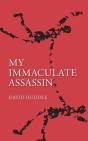 My Immaculate Assassin - Preview