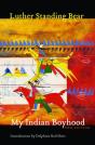 My Indian Boyhood - Preview