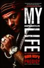 My Infamous Life - Preview