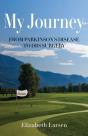 My Journey - Preview