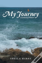 Capa do artigo My Journey