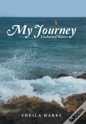 Capa do artigo My Journey