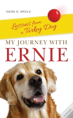 Capa do artigo My Journey With Ernie
