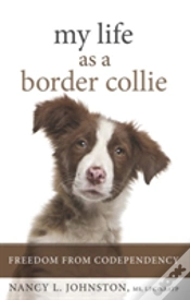 Capa do artigo My Life As A Border Collie