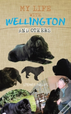 Capa do artigo My  Life  With  Wellington