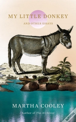 Capa do artigo My Little Donkey