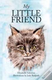 Capa do artigo My Little Friend