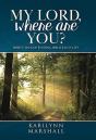 My Lord, Where Are You? - Preview