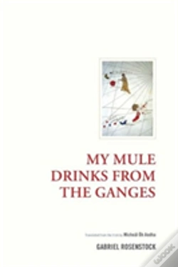 Capa do artigo My Mule Drinks From The Ganges