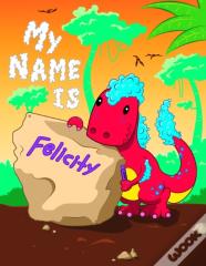 My Name Is Felicity