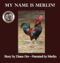 My Name Is Merlin - Preview