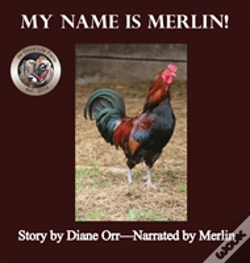 Capa do artigo My Name Is Merlin