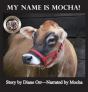 My Name Is Mocha - Preview
