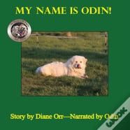My Name Is Odin