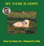 My Name Is Odin - Preview