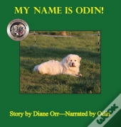 My Name Is Odin