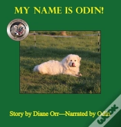 Capa do artigo My Name Is Odin