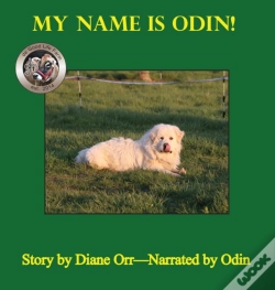 Capa do artigo My Name Is Odin