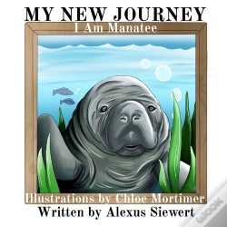 Capa do artigo My New Journey