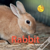 Capa do artigo My New Pet: Rabbit