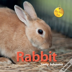 Capa do artigo My New Pet: Rabbit