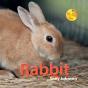 My New Pet: Rabbit - Preview