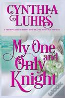 My One And Only Knight