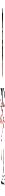 My Pen, My Thoughts