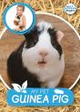 My Pet Guinea Pig - Preview