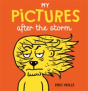 My Pictures After The Storm - Preview