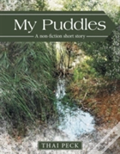 Capa do artigo My Puddles