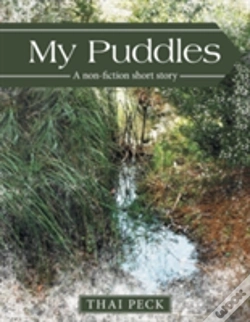 Capa do artigo My Puddles