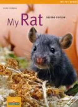 Capa do artigo My Rat