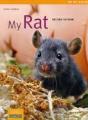 My Rat - Preview