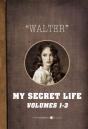 My Secret Life - Preview