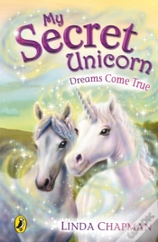 Capa do artigo My Secret Unicorn: Dreams Come True