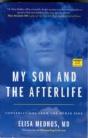 My Son And The Afterlife - Preview